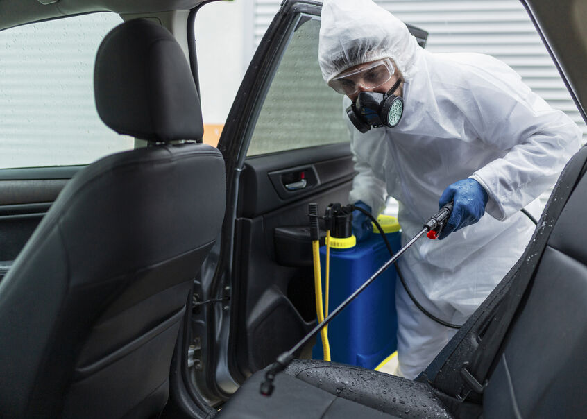 How to Get Rid of Ants in Your Car 