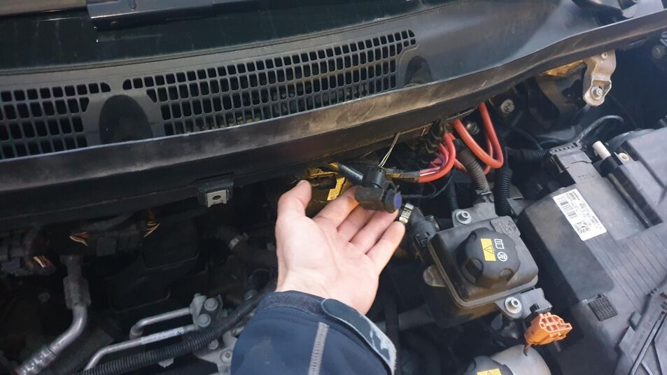 BMW AUC Sensors and Their Counterparts